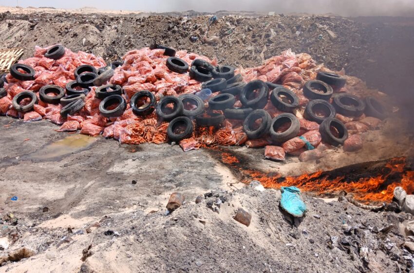  Nouadhibou : incinération de 27 tonnes de carottes impropres à la consommation (EN IMAGES)