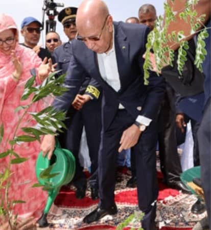  Lancement de la Semaine nationale de l’arbre : Ghazouani pour une grande participation des citoyens