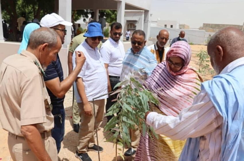  Environnement (PHOTOS) : Mint Baham visite la composante environnementale du programme d’urgence pour le développement de Nouakchott
