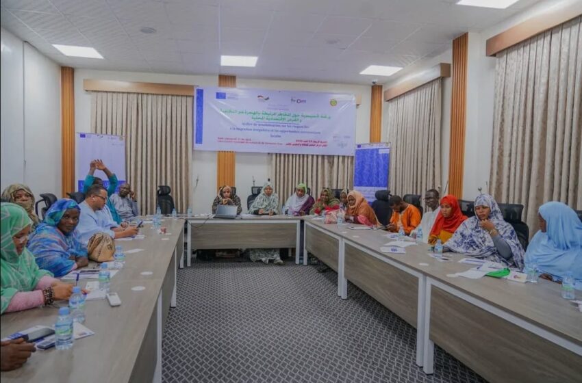  Composante 3 sur la migration irrégulière : INNODEV organise un atelier de formation pour « Choisir l’Avenir » (PHOTOS)