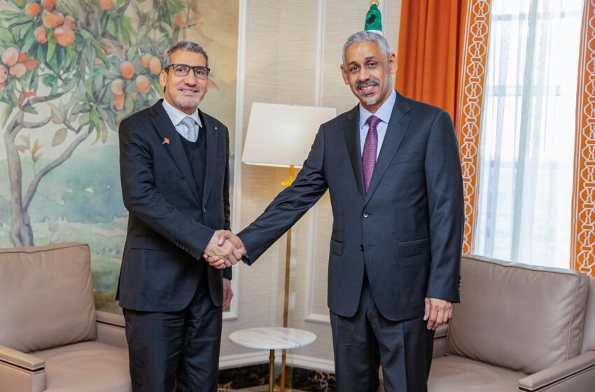 Partenariat entre la BAD et la BCM en faveur du développement du secteur financier mauritanien ( PHOTOS)