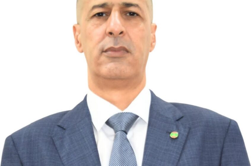   Dr. Tah Ahmed Meouloud DG de l’Agence de Promotion des Investissements en Mauritanie
