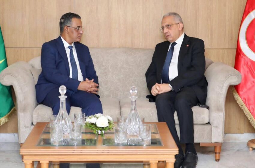  La Tunisie et la Mauritanie consolident la collaboration médicale (Photos)