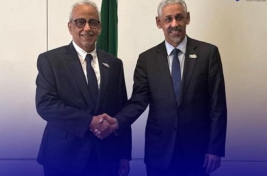  Rabat : Sidi Ould Tah et le ministre mauritanien des affaires économiques et de développement examinent les priorités du partenariat RIM-BAD