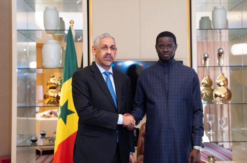  A Luanda en Angola, le président de la BAD rencontre le Président sénégalais Bassirou Diomaye FAYE