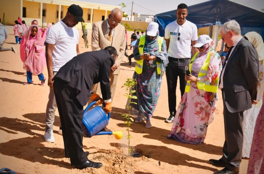  L’Ong Eco Guardians pilote la semaine de la diplomatie verte (EN IMAGES)