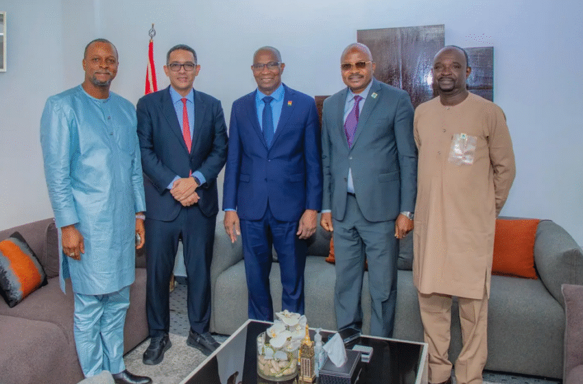   Le Haut-Commissaire de l’OMVS salue l’engagement de la Guinée pour le premier projet énergétique de l’Organisation sur son territoire