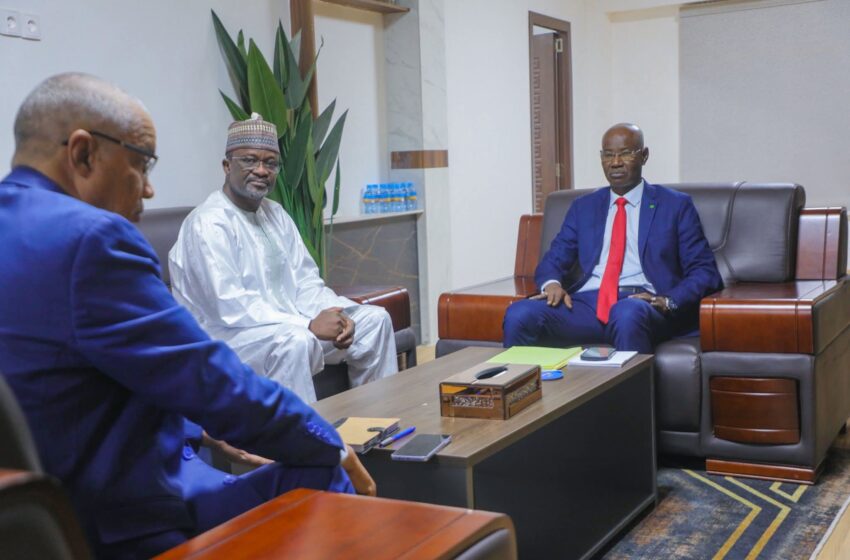  Le ministre des DPRF reçoit le Secrétaire exécutif de l’Agence Panafricaine de la Grande Muraille Verte