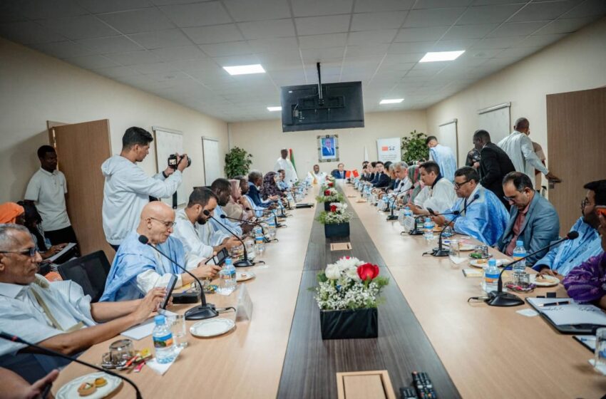  Vie politique: Renforcement des relations entre le Parti INSAF et le Parti communiste chinois (EN IMAGES)