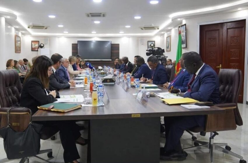 RIM-UE: Ould Diay plaide pour un partenariat stratégique renforcé