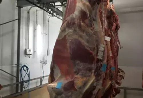 Nouakchott: le gouvernement annonce la nouvelle grille des prix de la viande